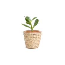 Load image into Gallery viewer, Plant Parade